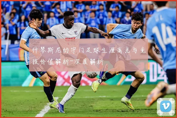 什琴斯尼的守门足球生涯高光与竞技价值解析-深度解析