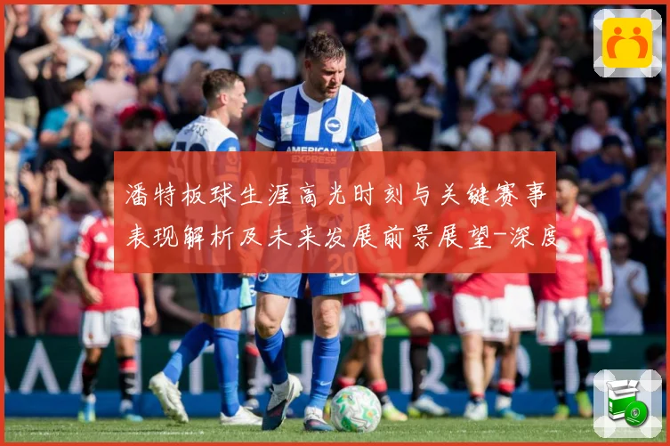 潘特板球生涯高光时刻与关键赛事表现解析及未来发展前景展望-深度解析